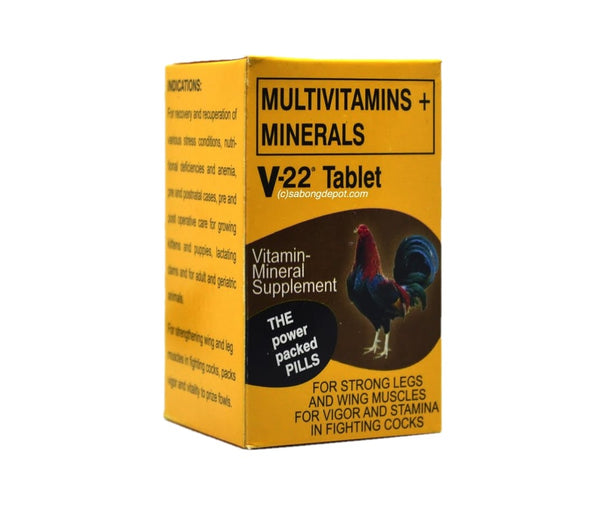 V22 Tablet
